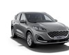 /slike/rapex_slike_arhiva/g2025/m04/Kuga .jpg